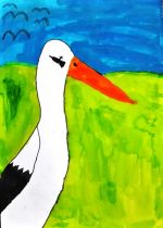 Rybková Adriana.jpg